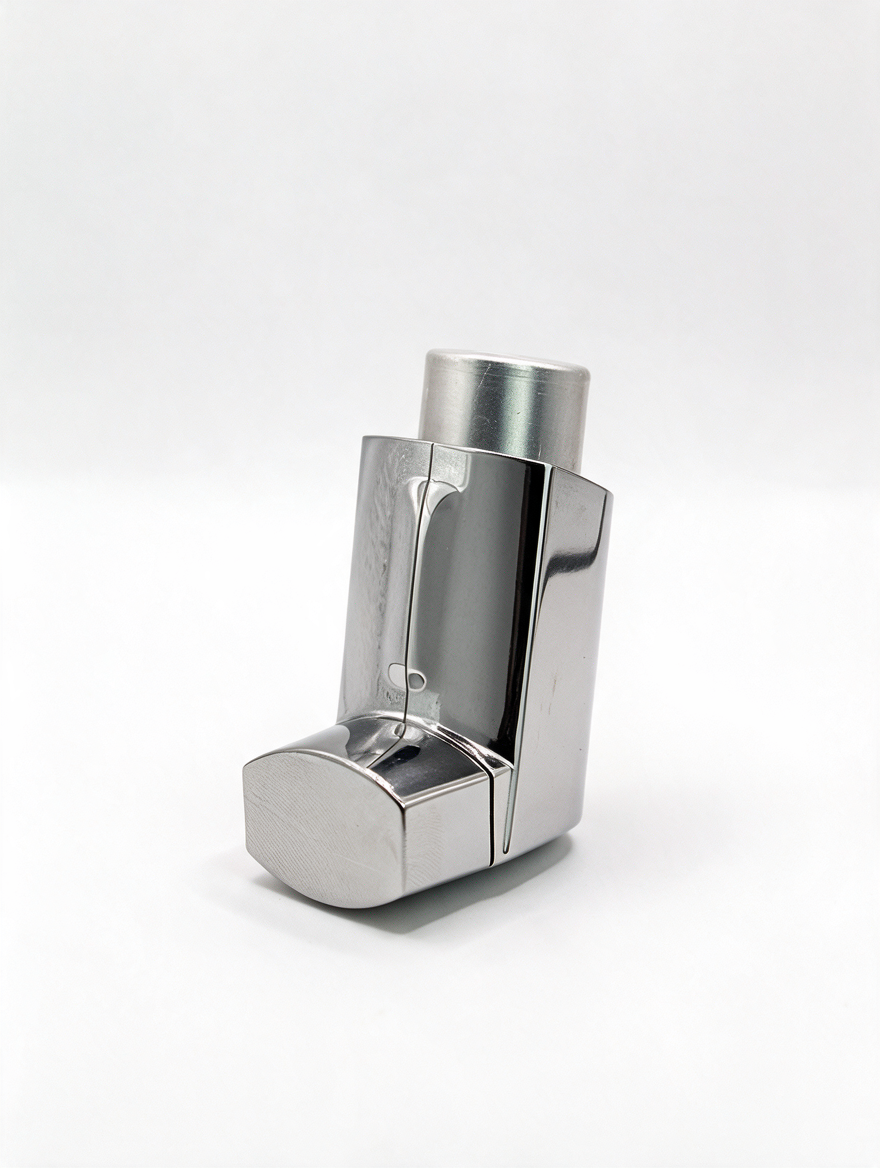 hale Classic inhaler case
