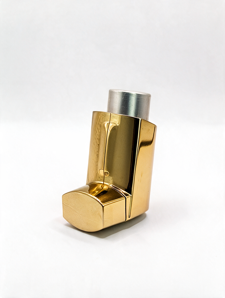 hale Classic inhaler case